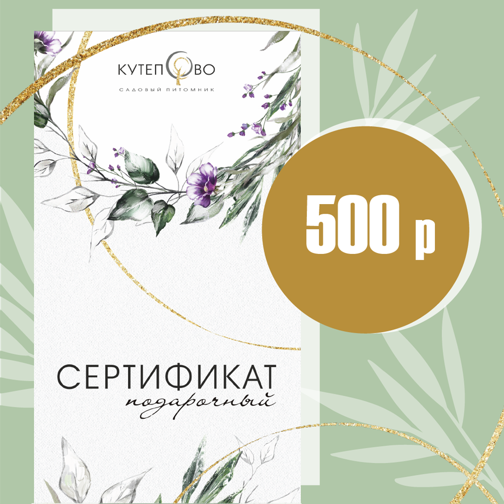 Подарочный сертификат 500 руб.