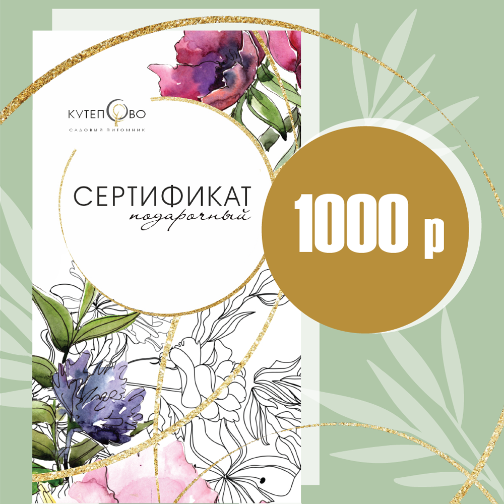 Подарочный сертификат 1000 руб.