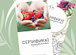 Подарочные сертификаты